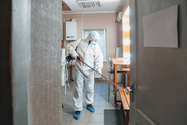 Best Attic Mold Removal  in Spruce Pine, NC