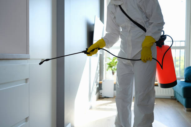 Best Post-Remediation Verification Testing  in Spruce Pine, NC