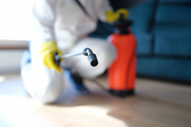 Best Biohazard Mold Removal  in Spruce Pine, NC