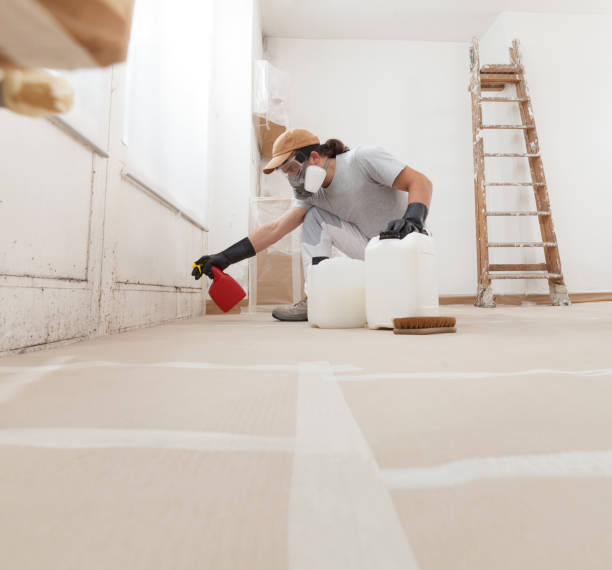 Best Real Estate Mold Inspection  in Spruce Pine, NC